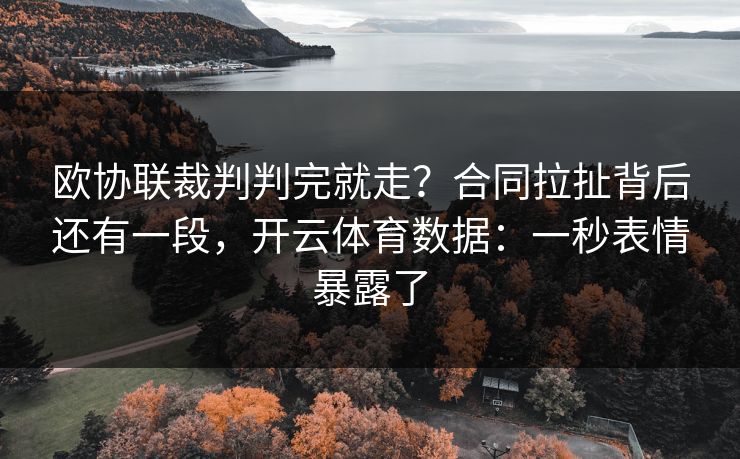 欧协联裁判判完就走？合同拉扯背后还有一段，开云体育数据：一秒表情暴露了