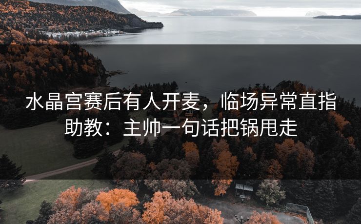 水晶宫赛后有人开麦，临场异常直指助教：主帅一句话把锅甩走
