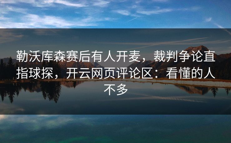 勒沃库森赛后有人开麦，裁判争论直指球探，开云网页评论区：看懂的人不多