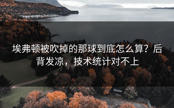 埃弗顿被吹掉的那球到底怎么算？后背发凉，技术统计对不上