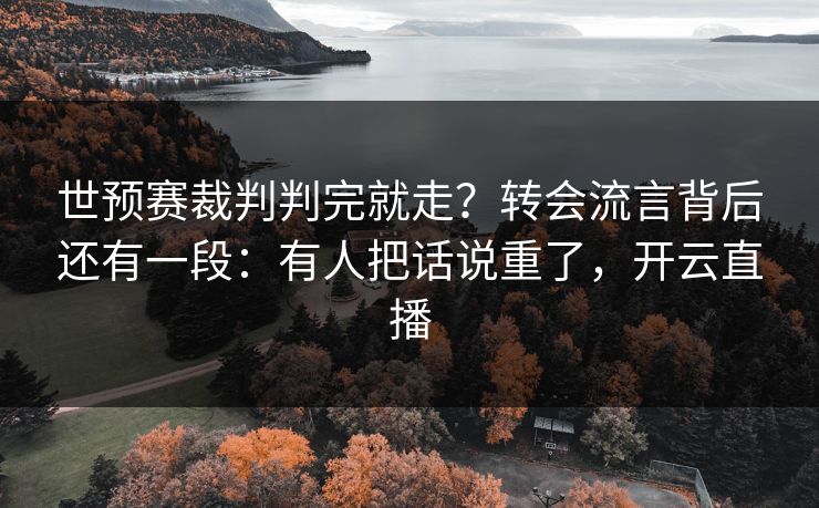 世预赛裁判判完就走?转会流言背后还有一段:有人把话说重了,开云直播 世预赛裁判判完就走?转会流言背后还有一段:有人把话说重了,开云直播