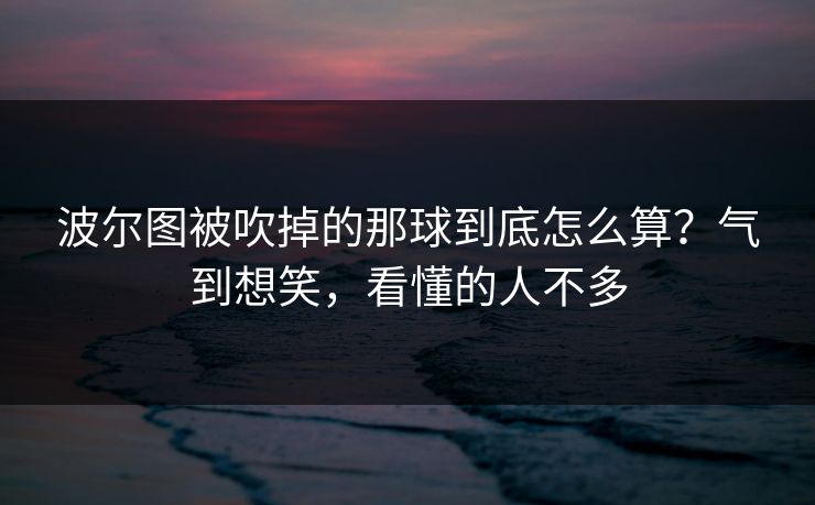 波尔图被吹掉的那球到底怎么算？气到想笑，看懂的人不多